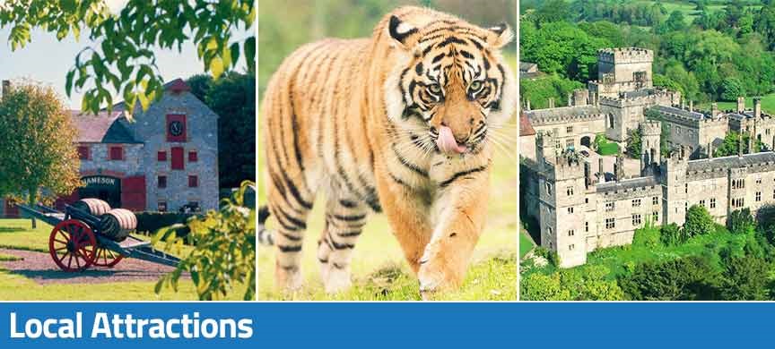 Jameson Distillery Midleton image, Tiger at Fota Wildlife Park and Castle in East Cork